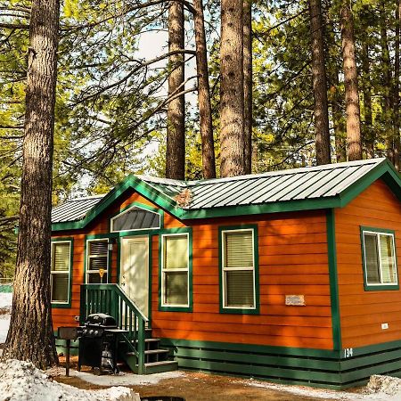 Tahoe Valley Cottage 2 Саус Лэйк Тахо Экстерьер фото