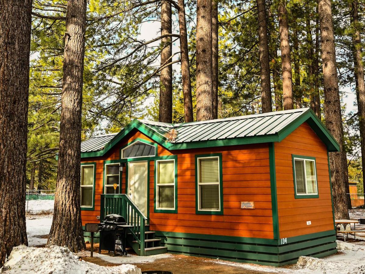 Tahoe Valley Cottage 2 Саус Лэйк Тахо Экстерьер фото