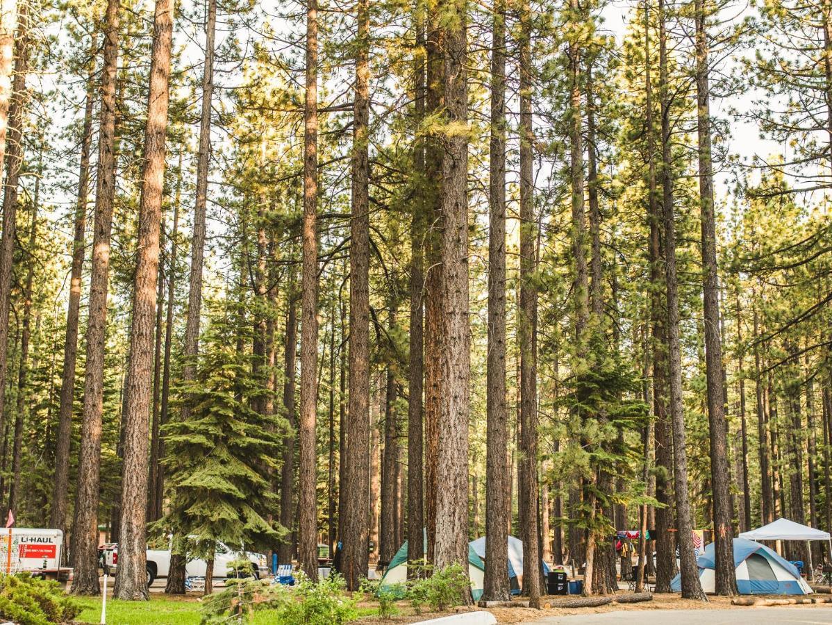 Tahoe Valley Cottage 2 Саус Лэйк Тахо Экстерьер фото