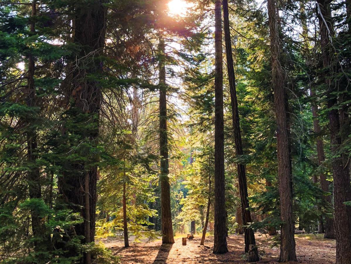 Tahoe Valley Cottage 2 Саус Лэйк Тахо Экстерьер фото